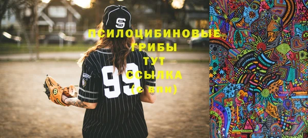 сатива Абдулино