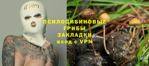 сатива Абдулино