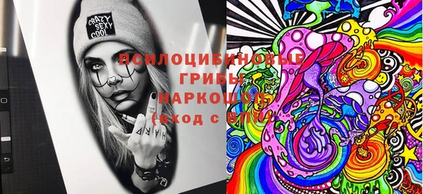 сатива Абдулино